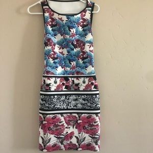 Clover Canyon Dress